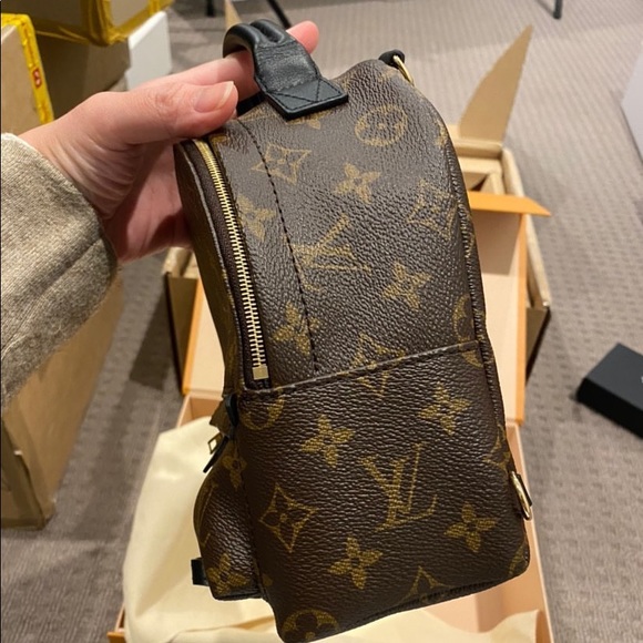 Louis Vuitton Palm Springs Mini - Picture 9 of 12